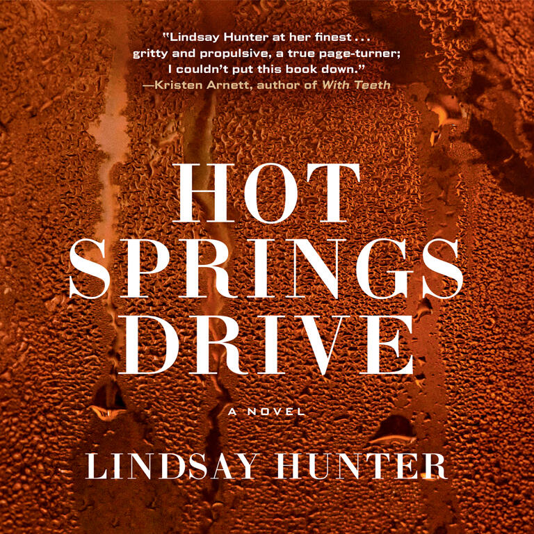 Hot Springs Drive book cover