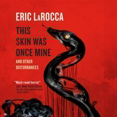 This Skin Was Once Mine audiobook cover