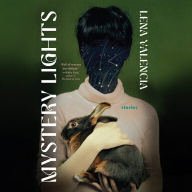 Mystery Lights audiobook cover
